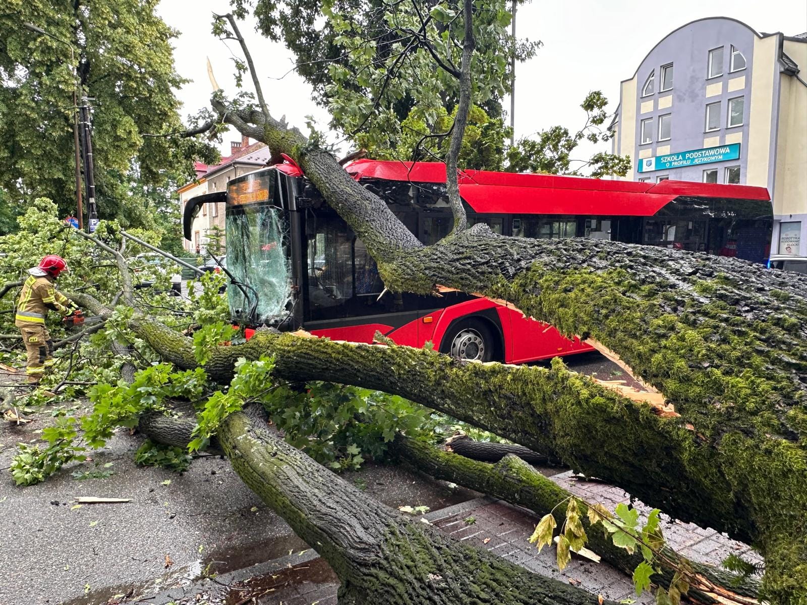Drzewo przewróciło się na autobus w Żywcu. Trzy osoby ranne